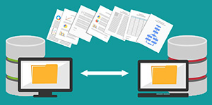 Web hosting backup options